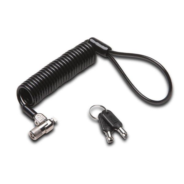 Micro Saver 2.0 Portable Keyed Laptop Lock